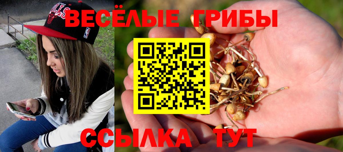 Галлюциногенные грибы Psilocybe  Псилоцибиновые грибы Psilocybine cubensis  Вход с VPN  Орёл 